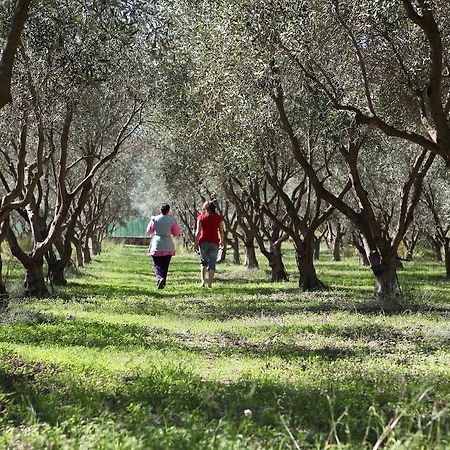 Agriturismo A'Sena-Runcatini Ciminà Екстериор снимка