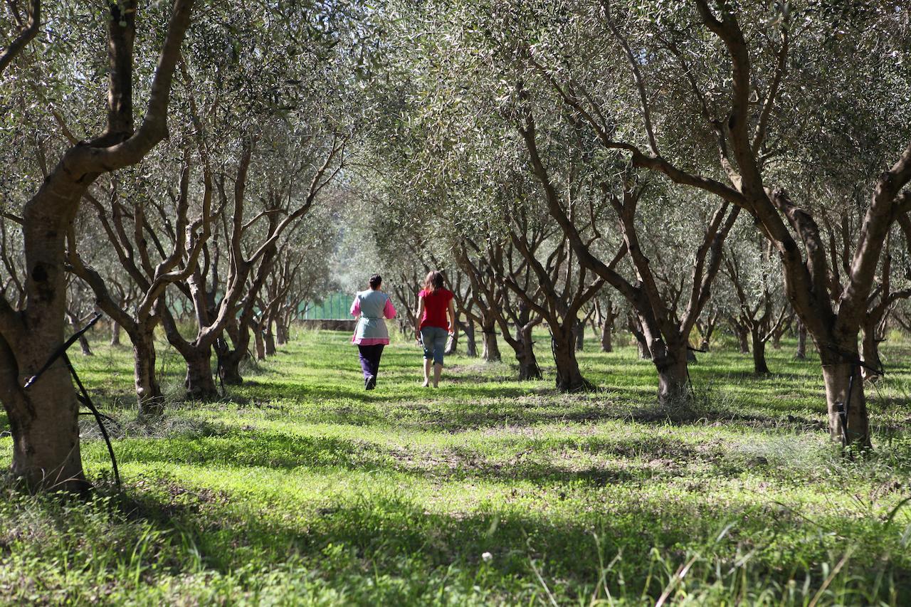 Agriturismo A'Sena-Runcatini Ciminà Екстериор снимка